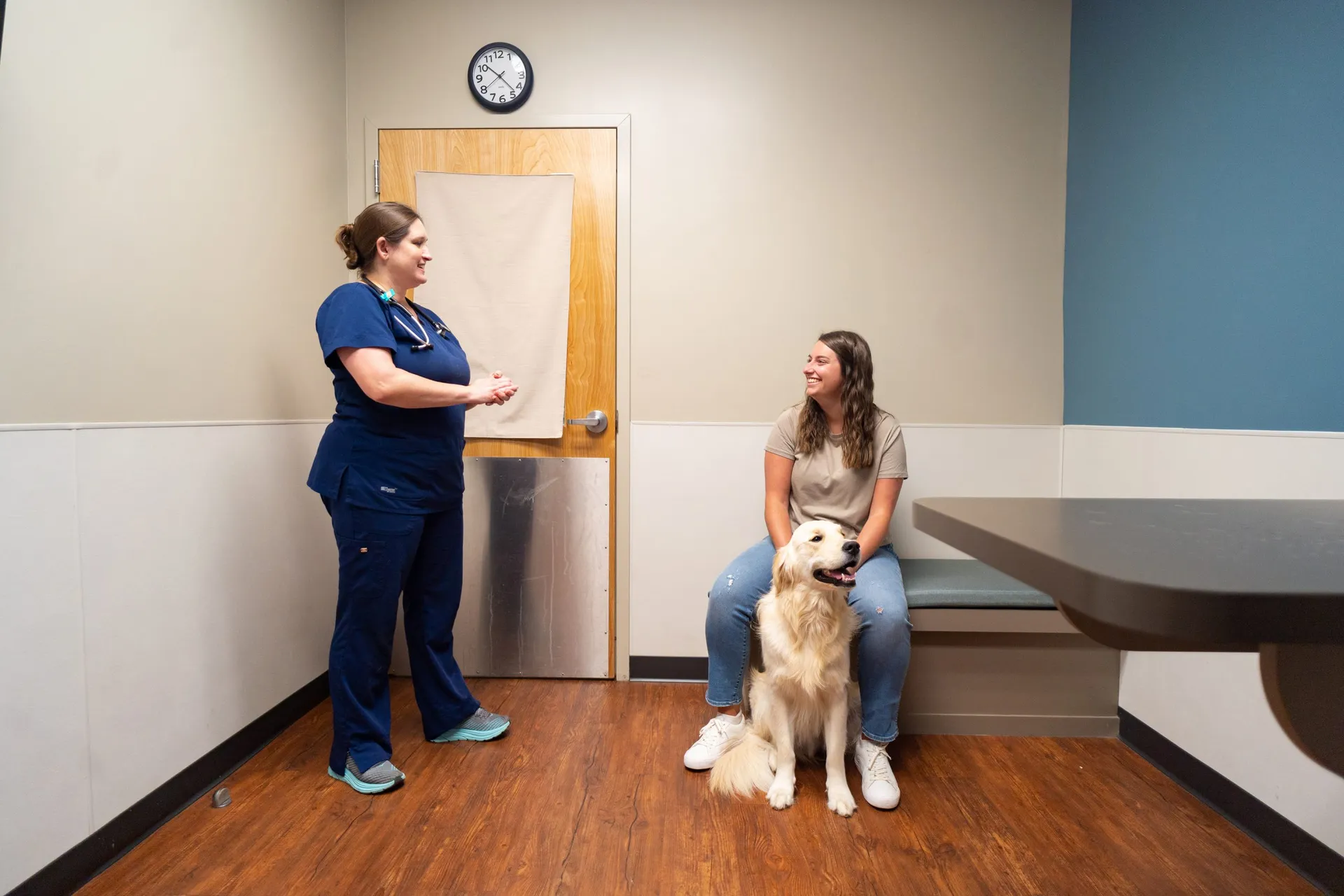 Veterinarian consulting with patient and her golden retriever
